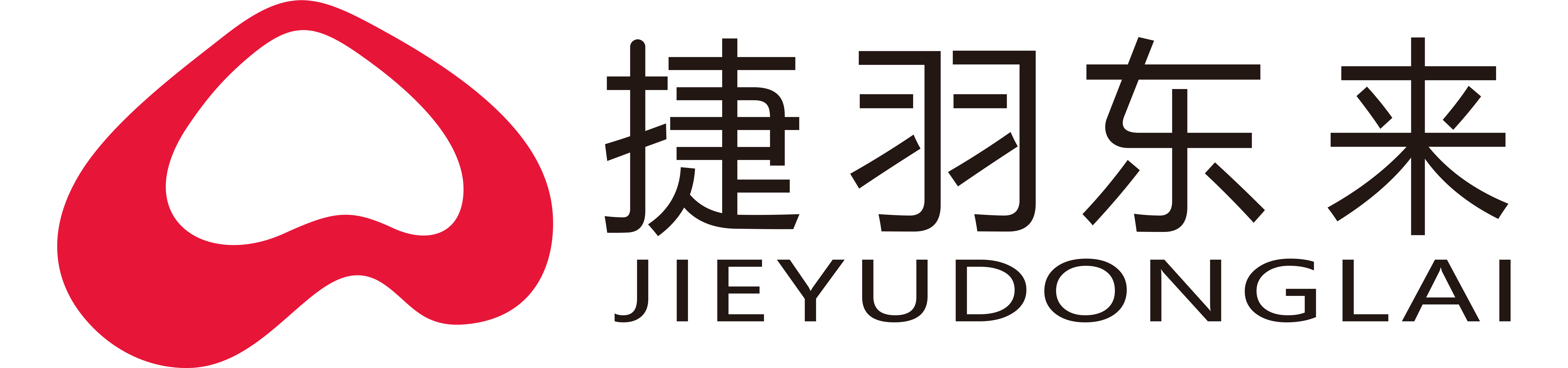 中国捷羽东来国际会展策划